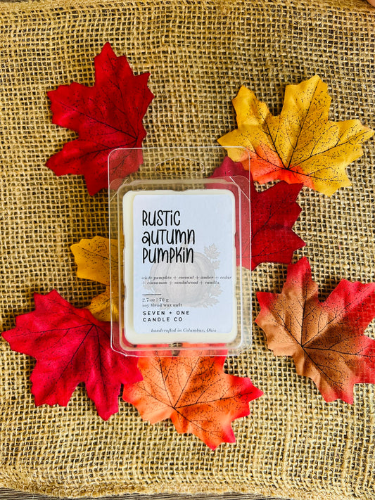 Rustic Autumn Pumpkin Wax Melt